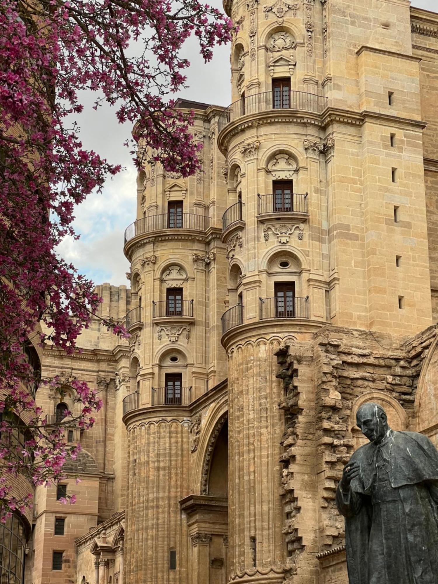 Apartament Premium - Cathedral Of *